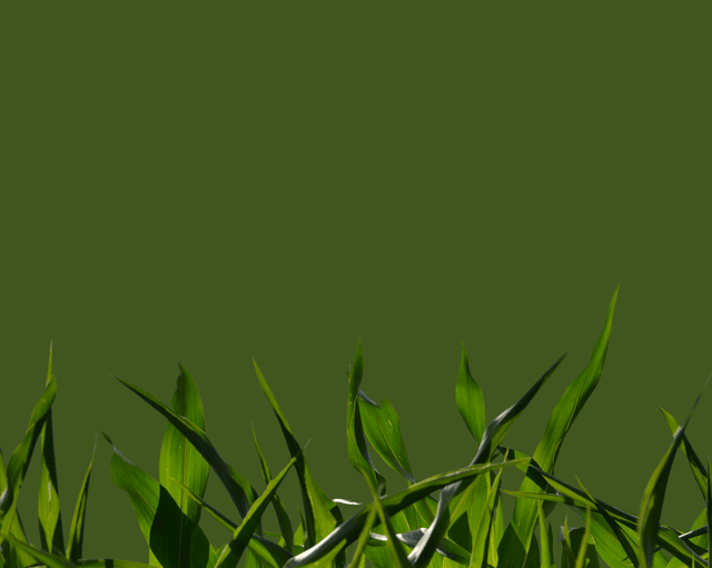 Business Overview Background